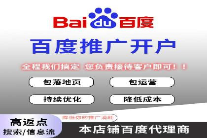 SEM广告投放策略：成功案例解析